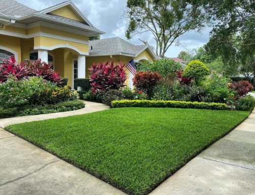 Lawn Cleanup Tips for Storms in Florida