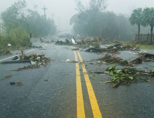 Getting Your Landscape Ready For Hurricane Season